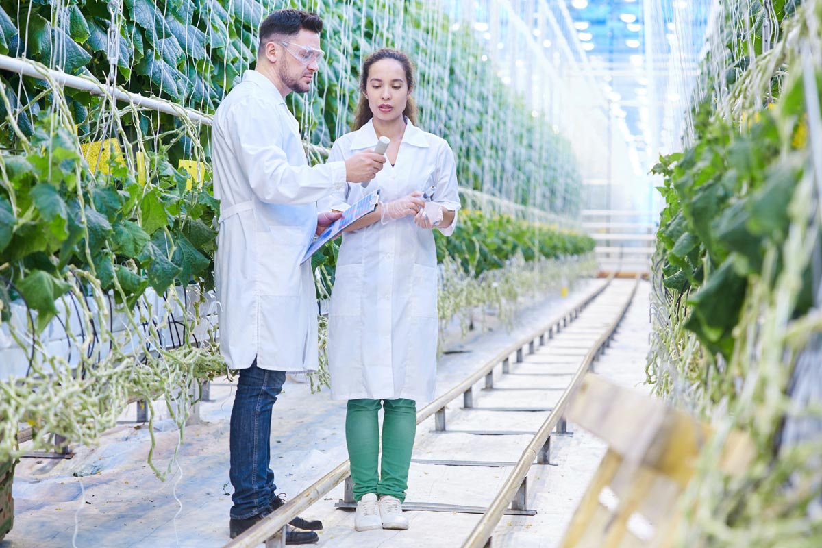 Agri tech scientist in a modern industrial green house.