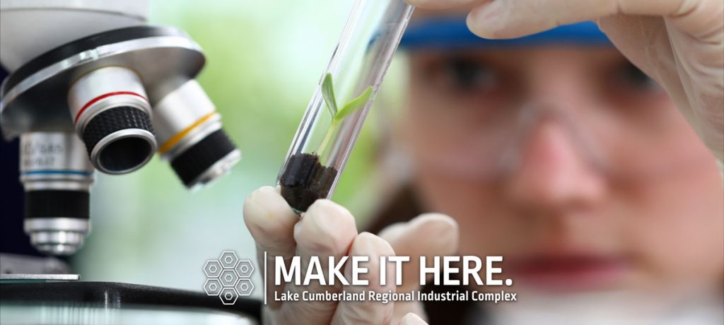 Student looking at tiny seedling in a test tube